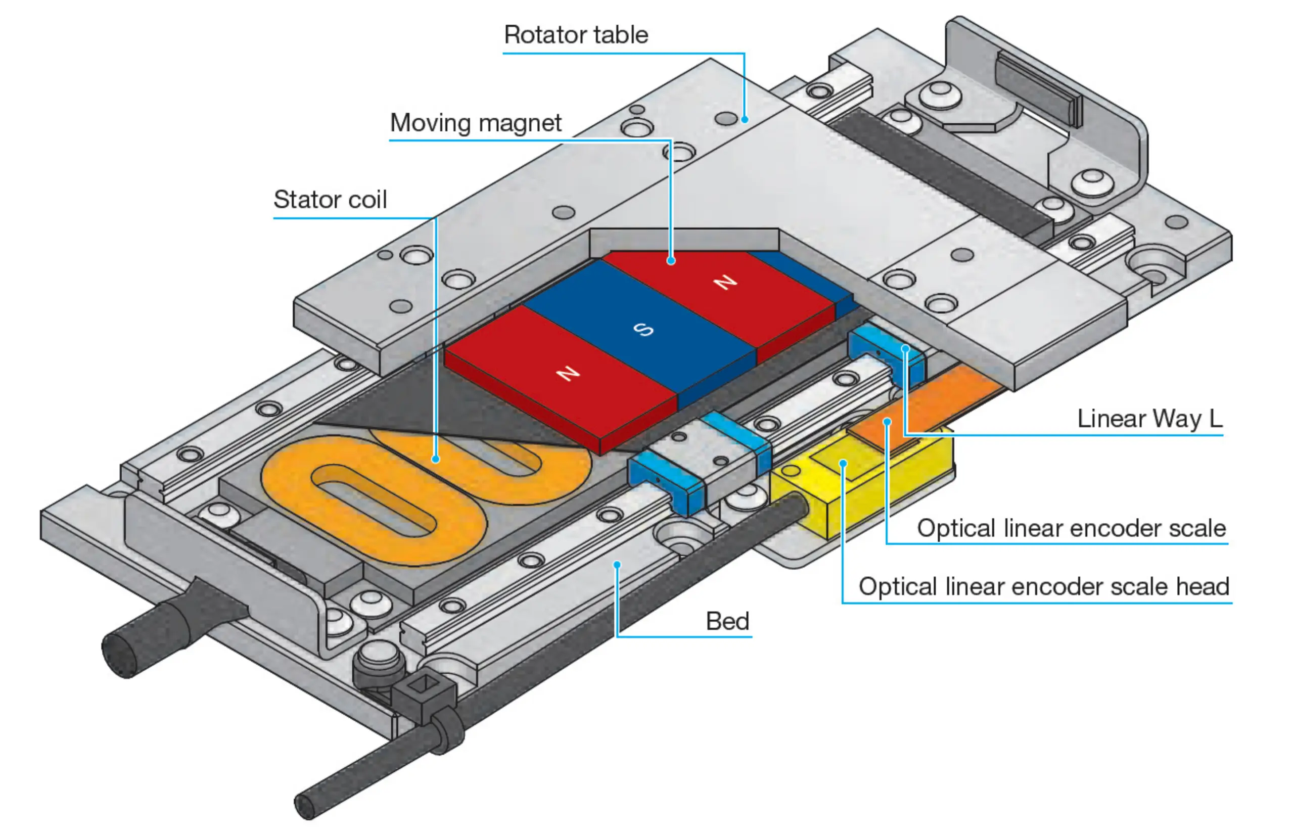 Figure 1. Cutaway of an IKO NT Series linear motor table with moving magnet and optical linear encoder.